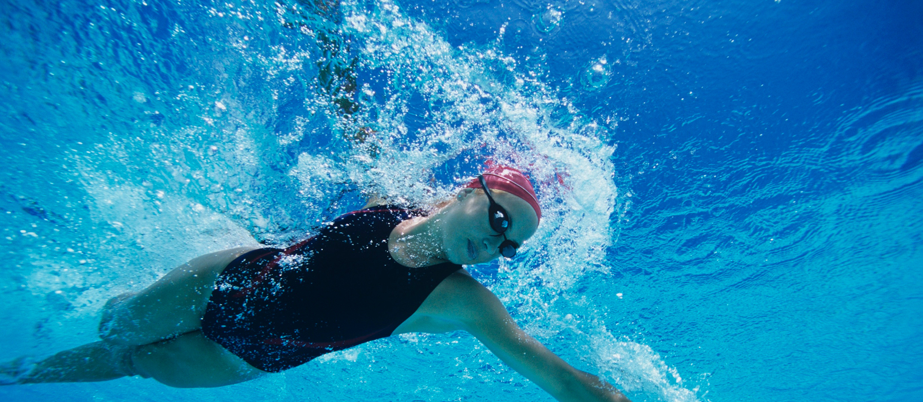 Adult Swimming Lessons For All Skill Levels Ages 16 