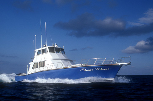 shearwater-6 MV Shearwater