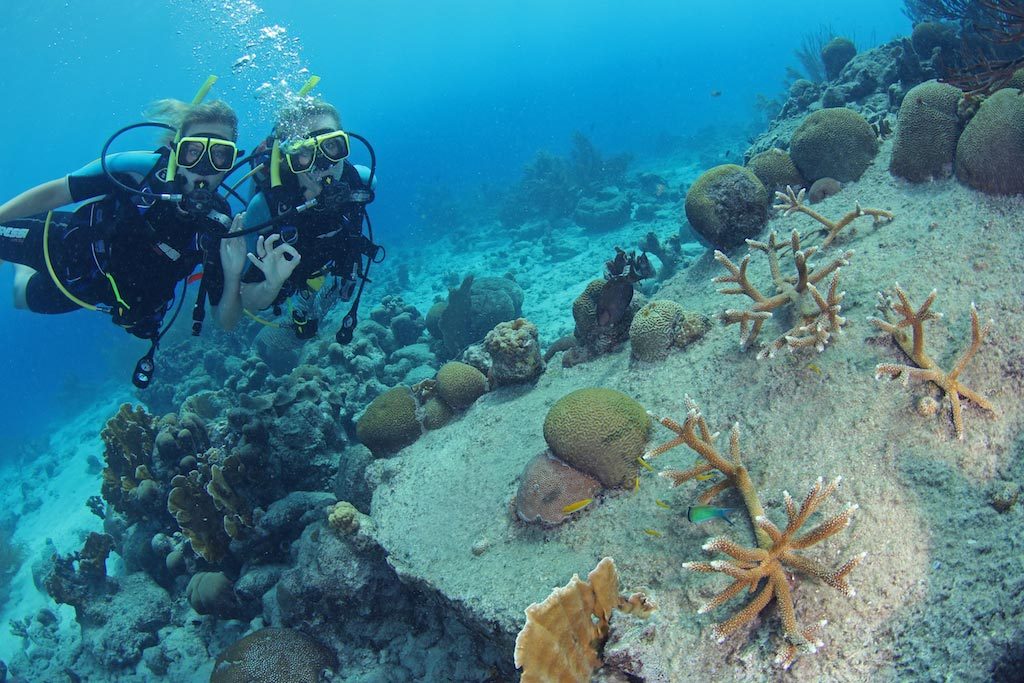 Group Scuba Diving Trips Curacao November 2018 Diventures