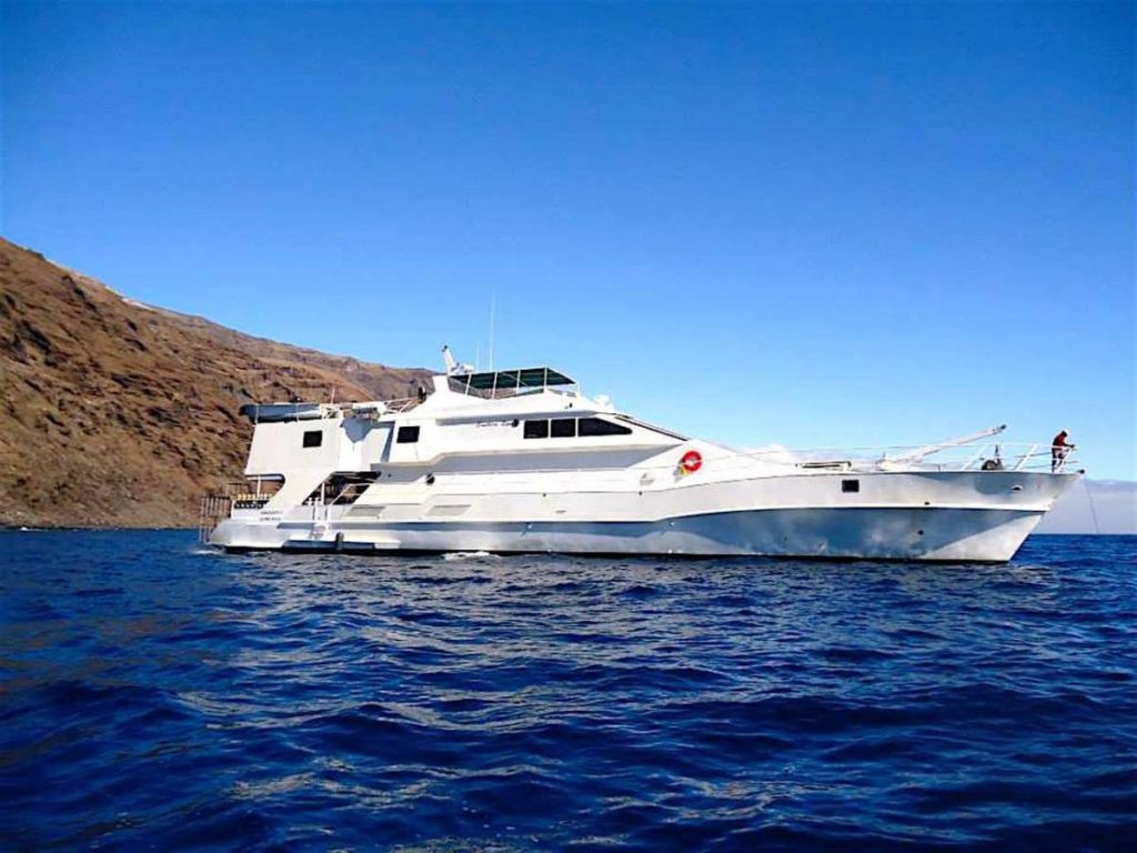 southern-sport-scuba-diving-liveaboard-in-socorro-guadalupe-mexico-09 Southern Sport