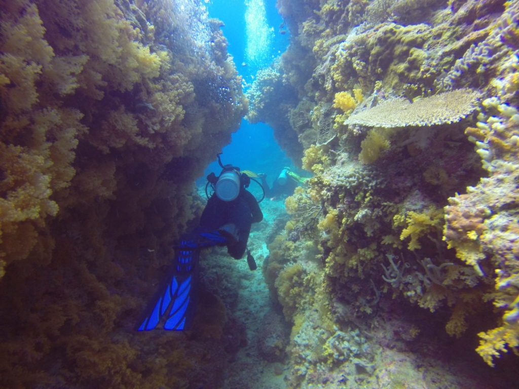 DCIM104GOPRO swim through