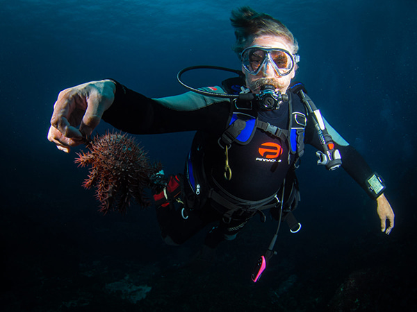 scuba diver with sea urchin