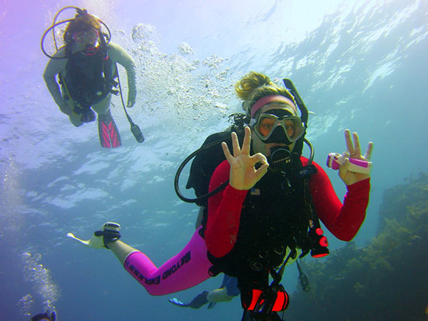 scuba divers scuba divers