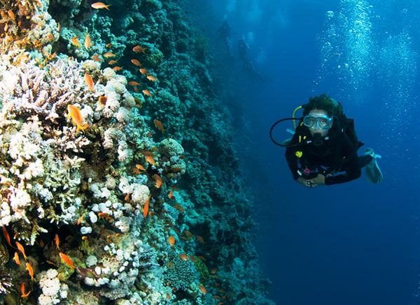 girl diver coral wall