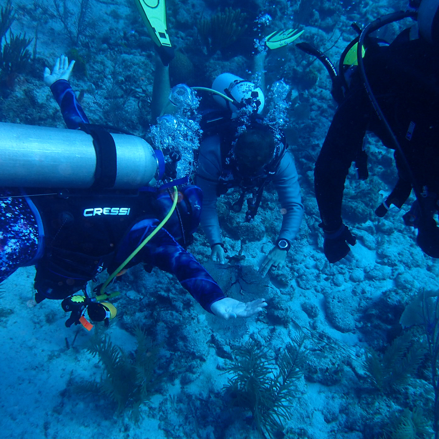 Cayman Brac 22