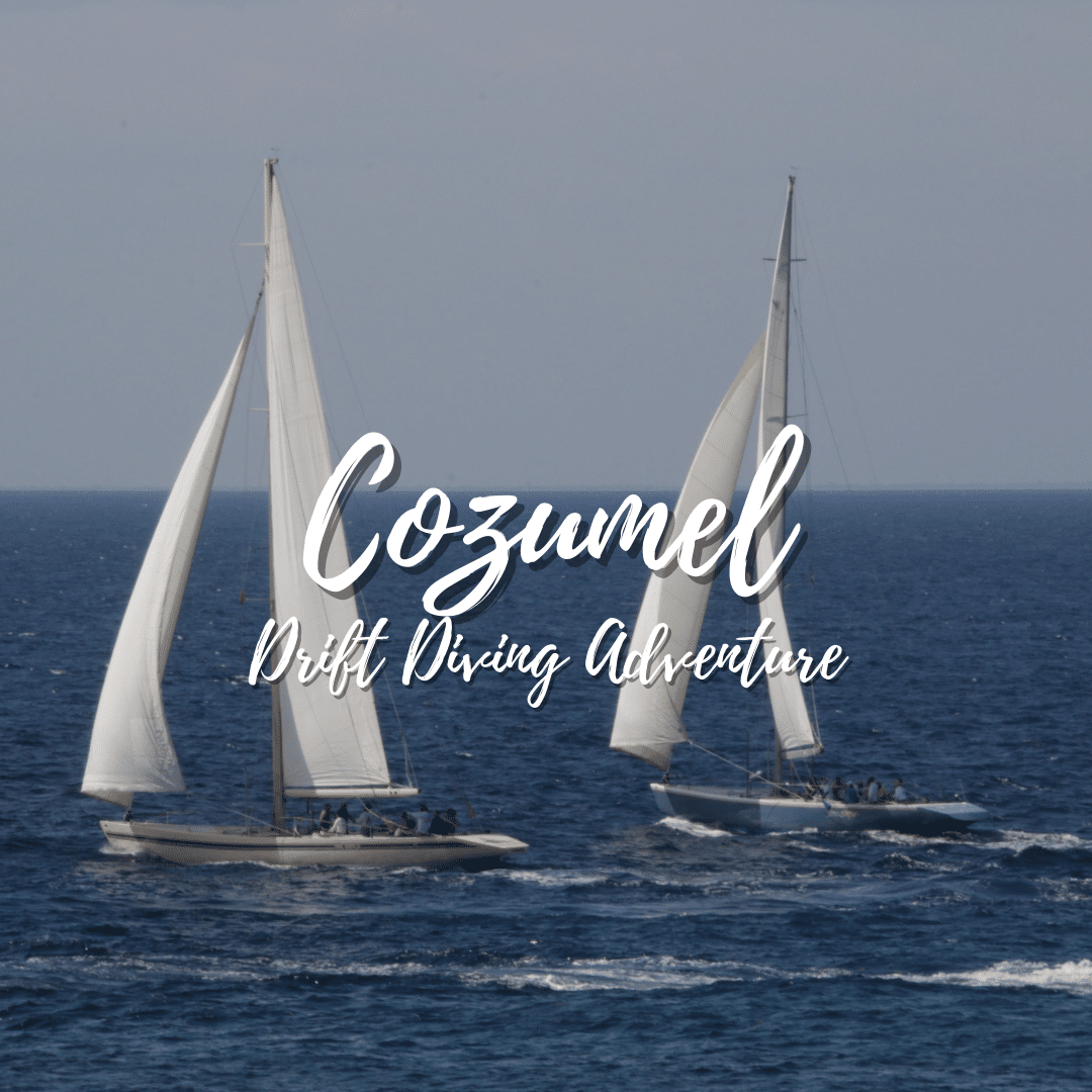 Drift Diving Adventure in Cozumel - Diventures