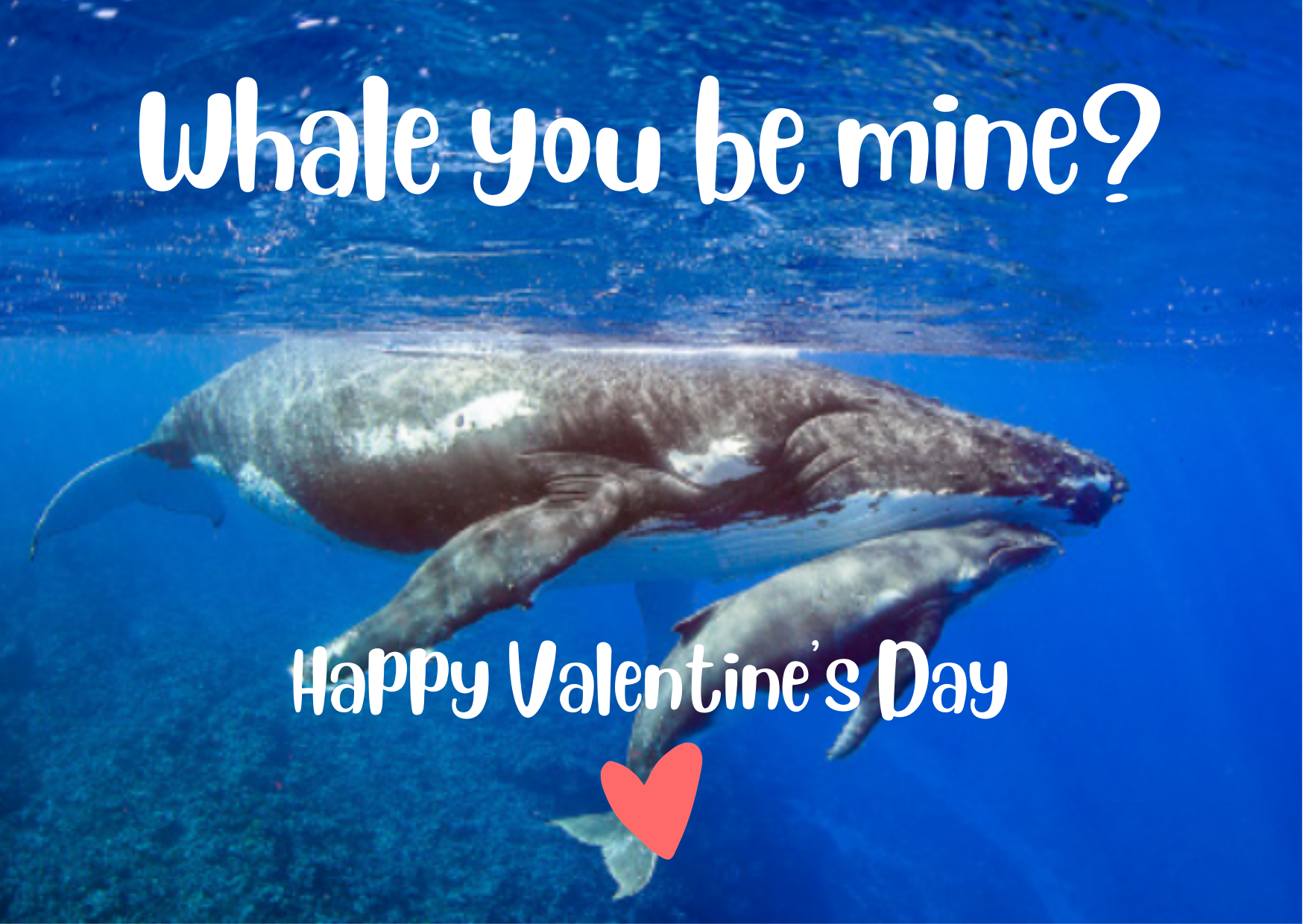 Try Scuba for Valentines