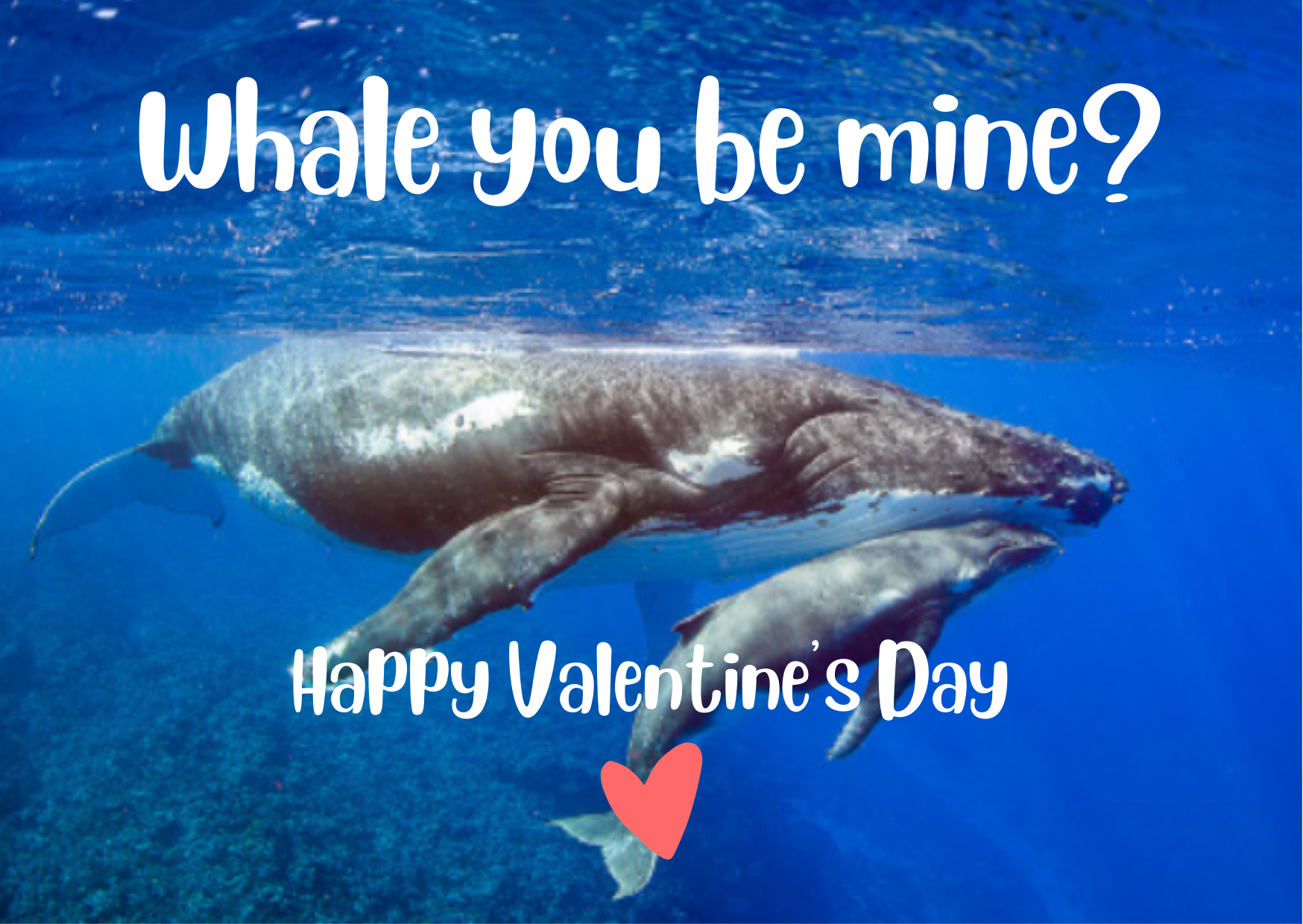 Try Scuba for Valentines Try Scuba for Valentines