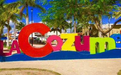 Experience the Magic of Diving in Cozumel