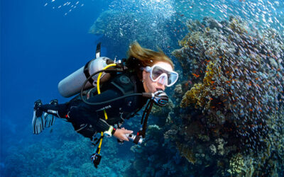 How to Get Scuba Certified at Diventures