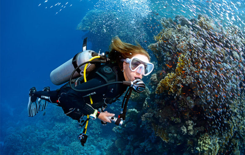 How To Get Scuba Certified