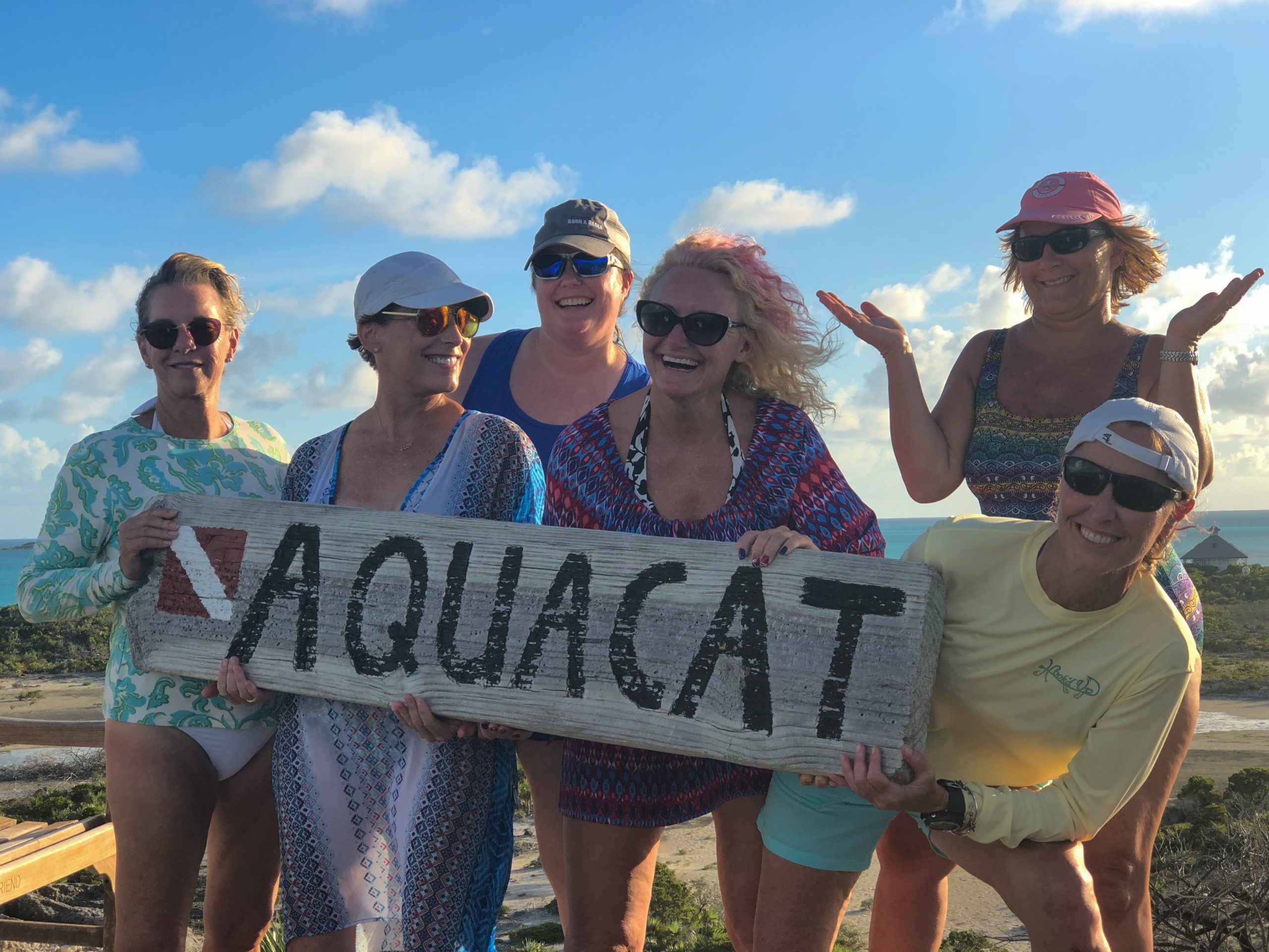 aqua cat sign