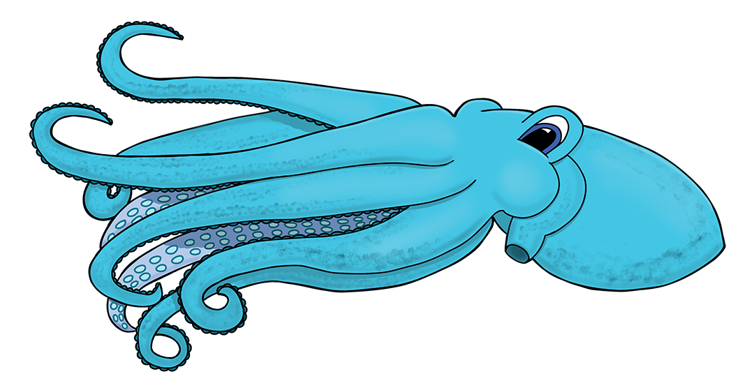 Oscar the Octopus