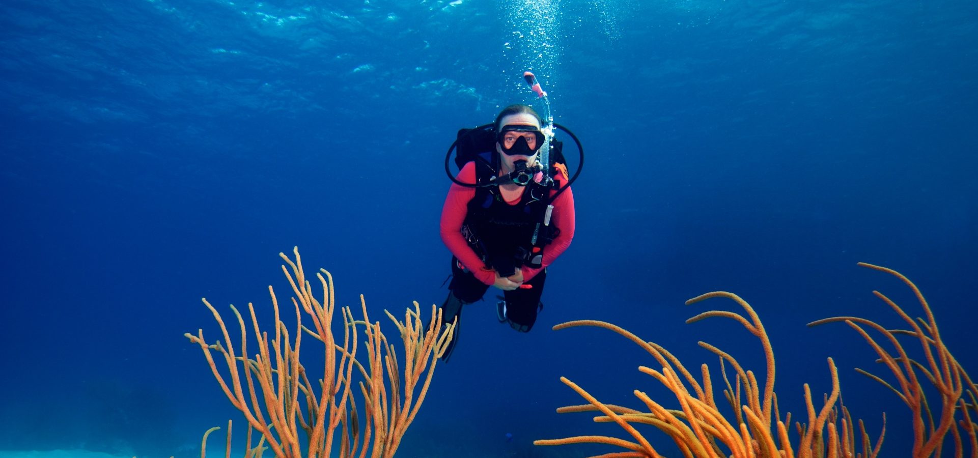 diver with fish