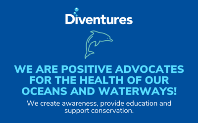 World Water Day – Accelerating Change at Diventures and Around the World