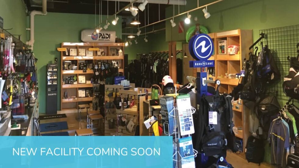 Contact Us Swim Lessons & Scuba Dive Training Diventures