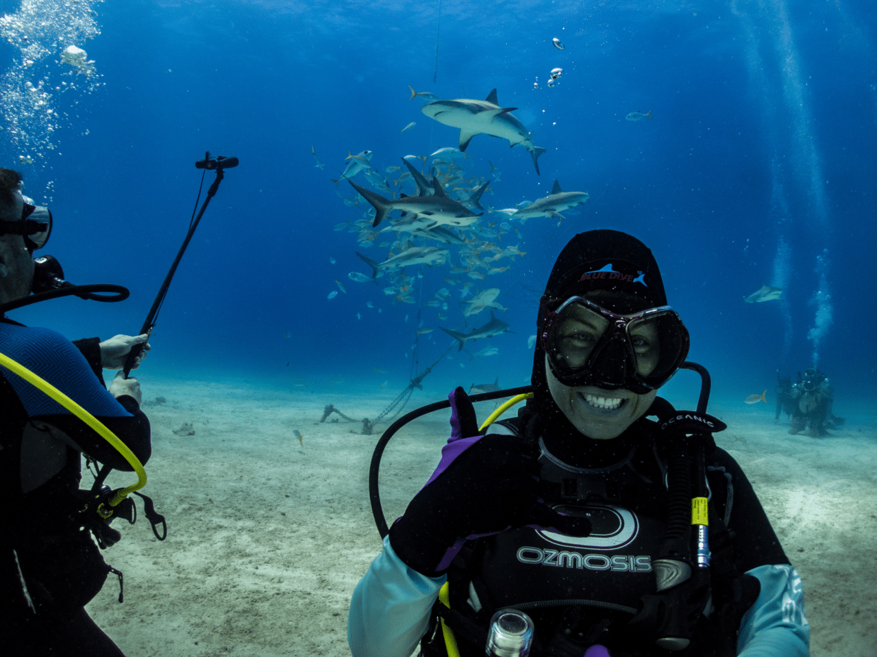 Diventures Scuba Diving Private Travel | Diventures