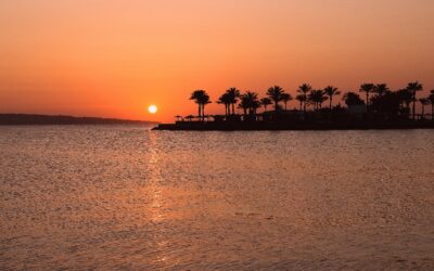 Exploring the Vibrant Wonders of the Red Sea: A Traveler’s Paradise