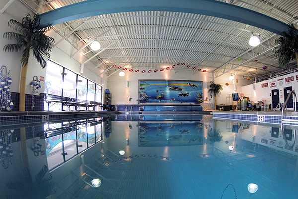 Alpharetta swimming pool