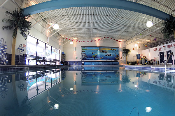 Alpharetta-swimming-pool Alpharetta swimming pool