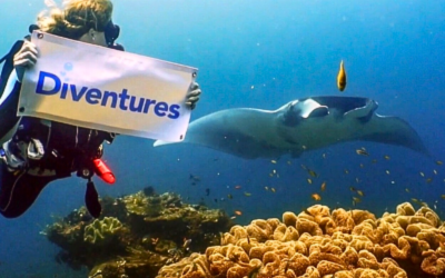 Passport to Paradise: Three Distinct Destinations, One Incredible Holiday