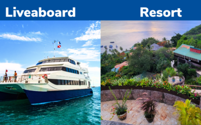 How to Pack for a Liveaboard vs. Resort