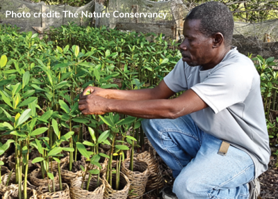 Haiti nursery