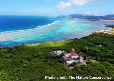 St. Croix Coral Hub