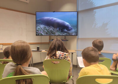 Homeschool H20 – Children Learning About Manatees
