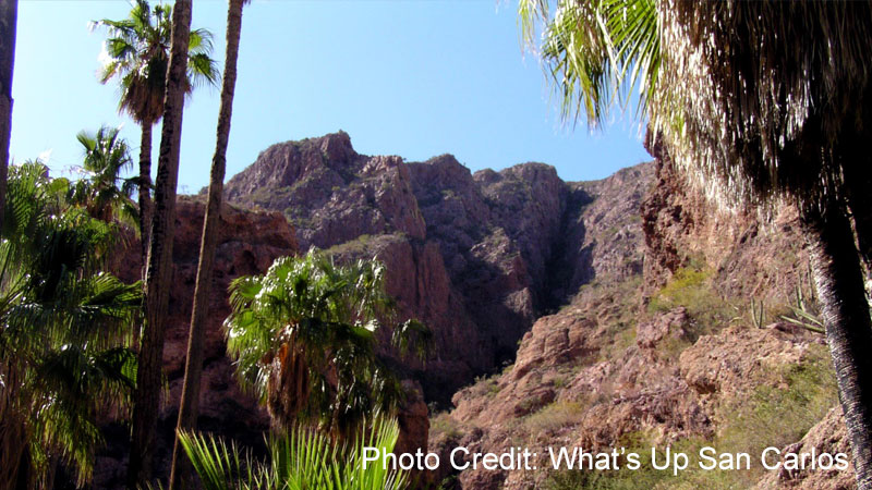 Nacapule Canyon