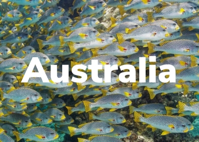 Australia Destination Dive Trips