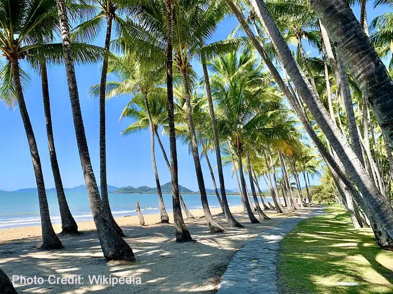 Palm Cove Australia