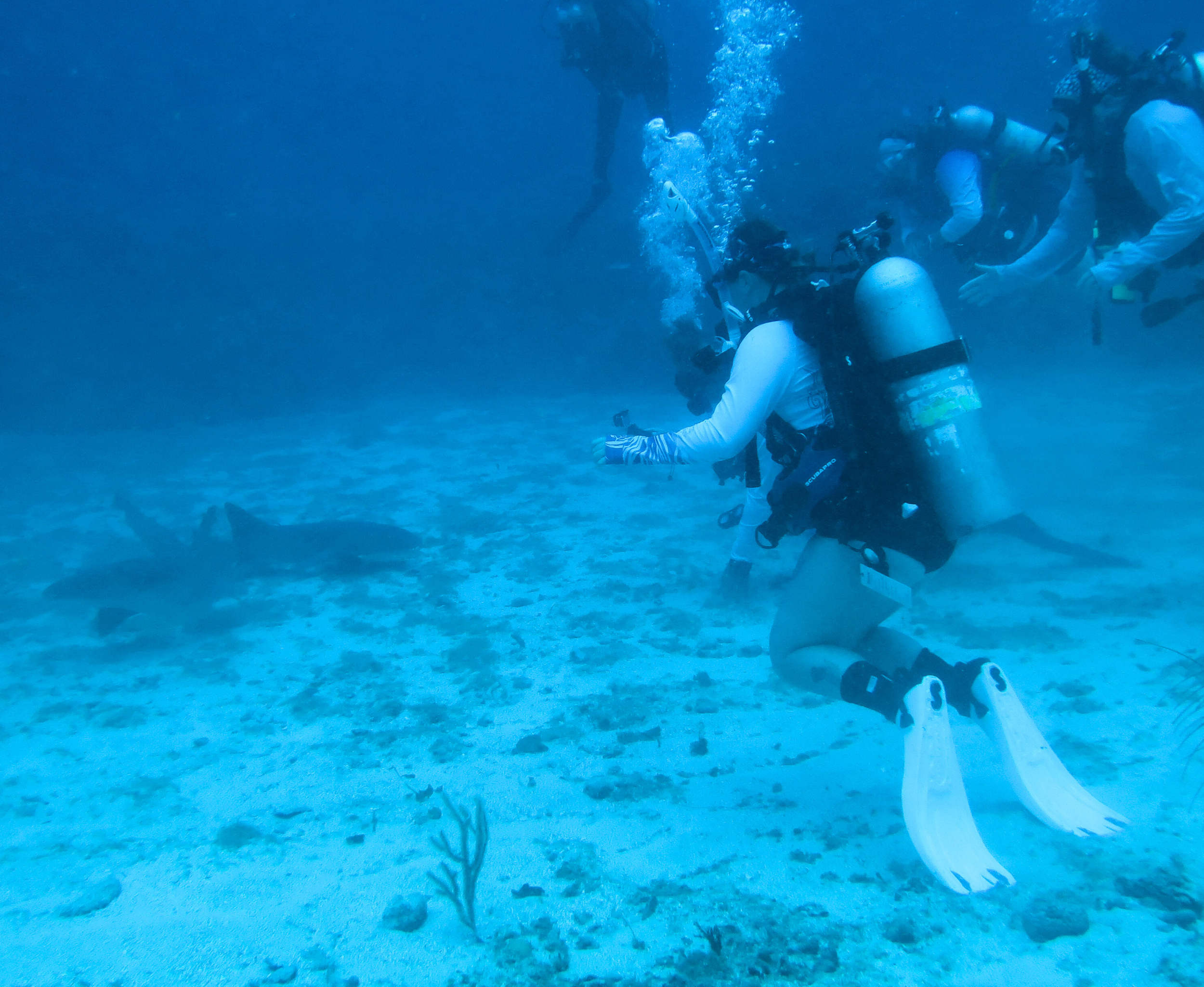 Brittany with Shark