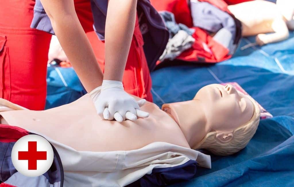 Adult and Pediatric First Aid/CPR/AED