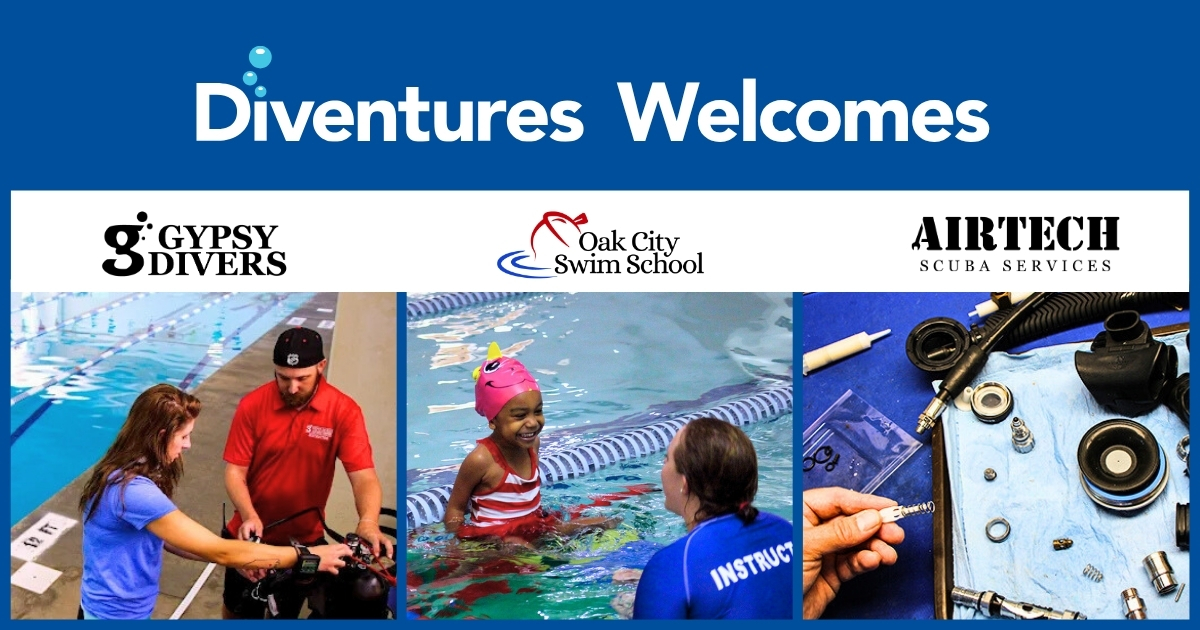 Diventures Acquires Elite Gypsy Corporation