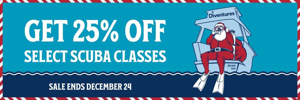 Scuba Santa 2025
