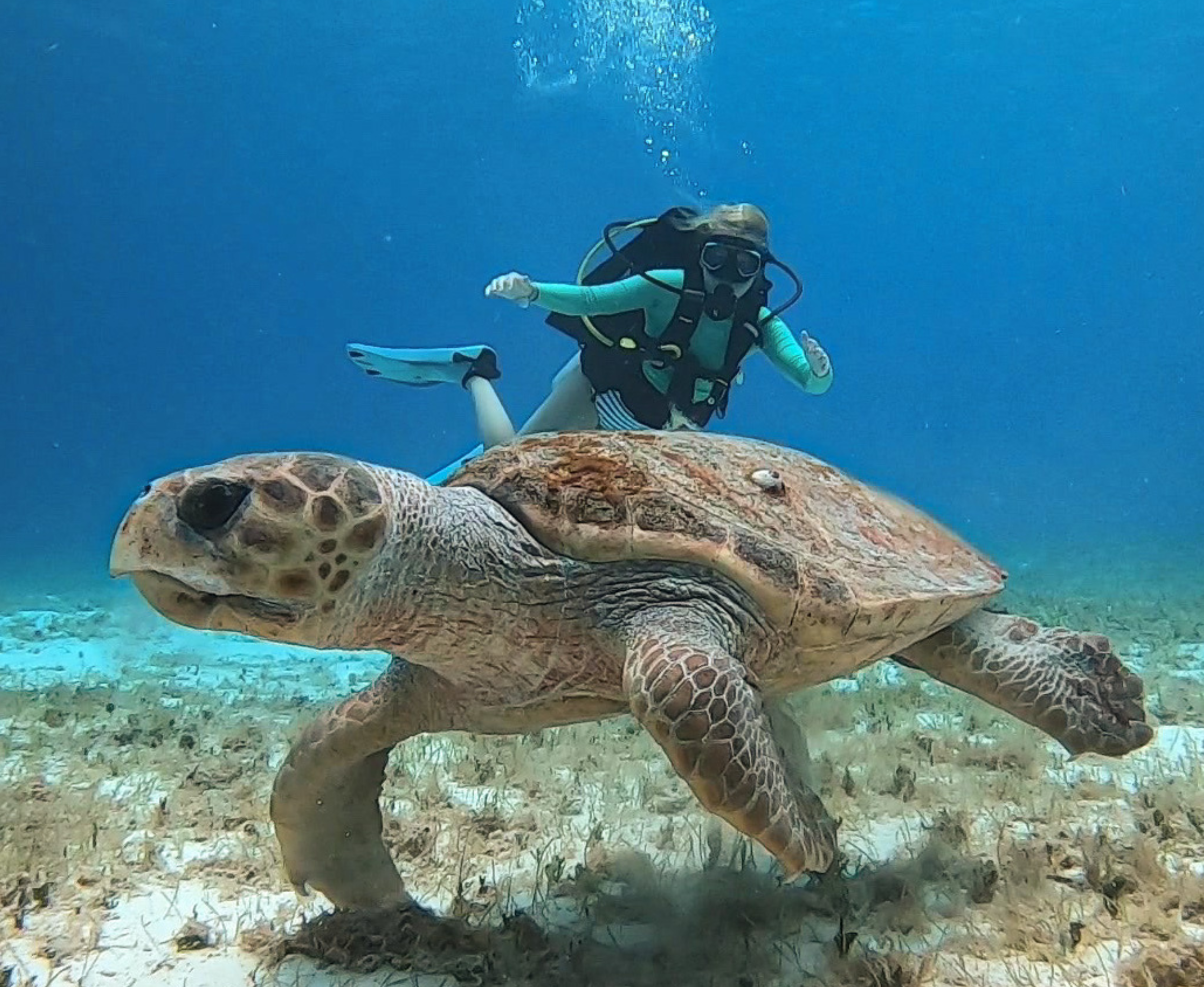 Try Scuba Diving Class