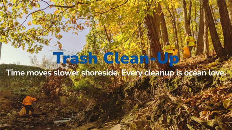 Trash Cleanups