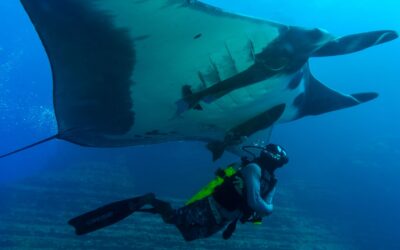 Captain’s Log: Socorro on the Nautilus Explorer 2026