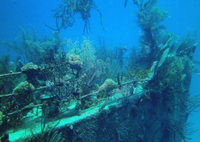 Roatan Wreck