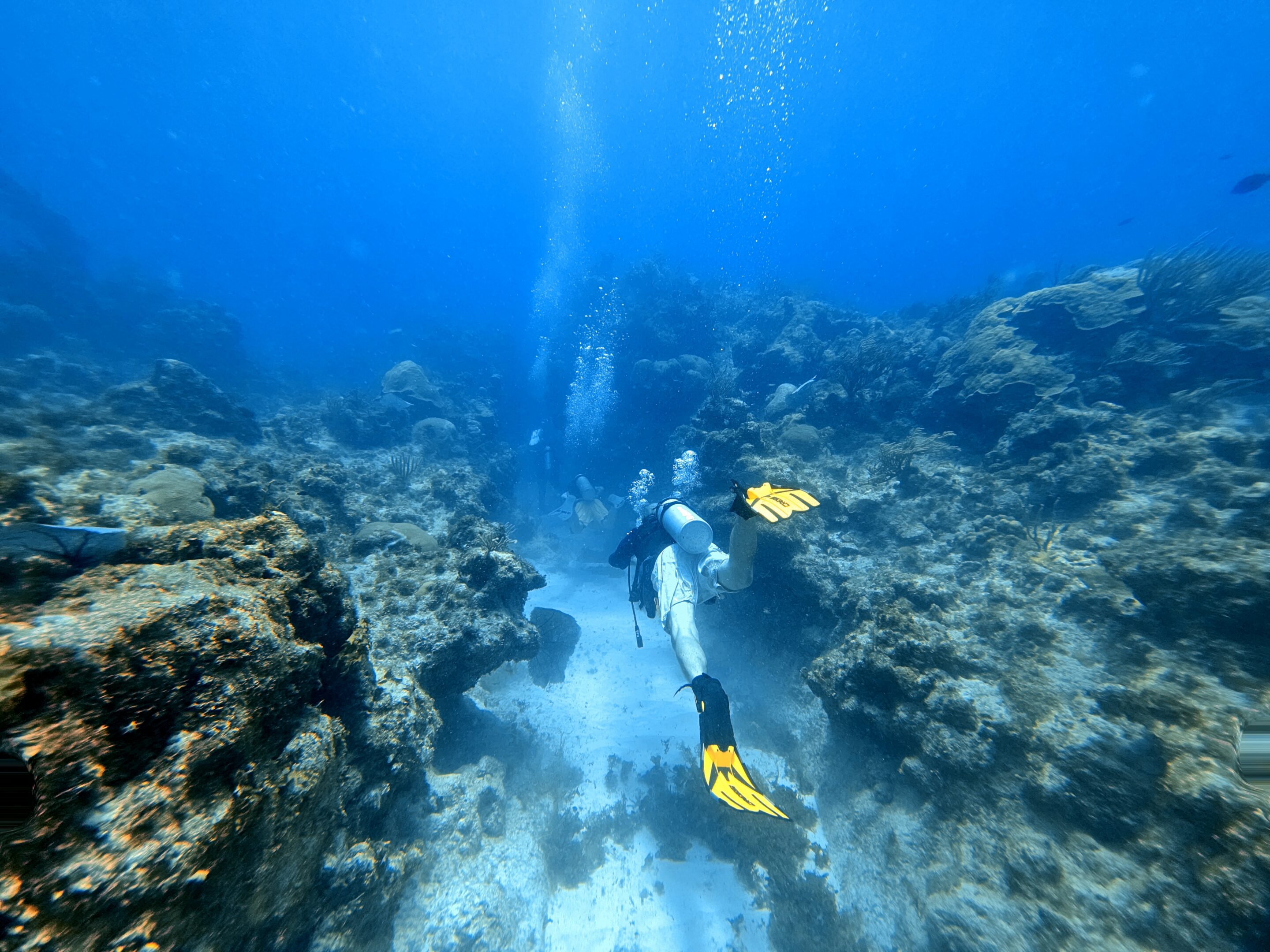 Diver over reef