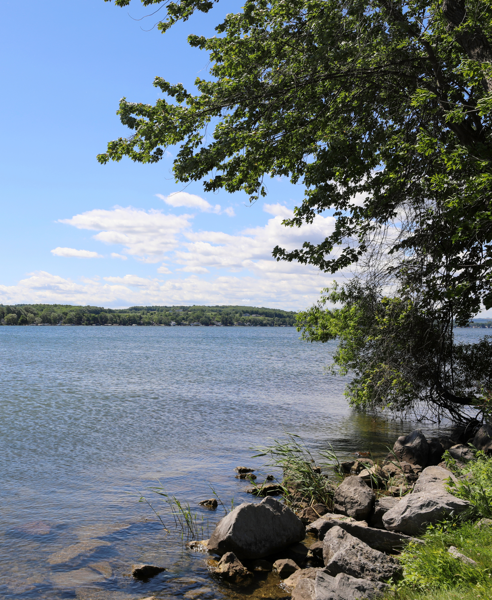 random lake image