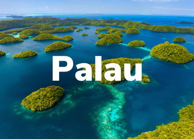 Palau Dive Trips