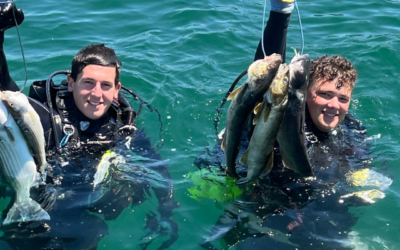 Spearfishing Blog Draft