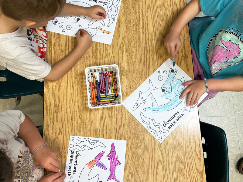 Coloring Activities